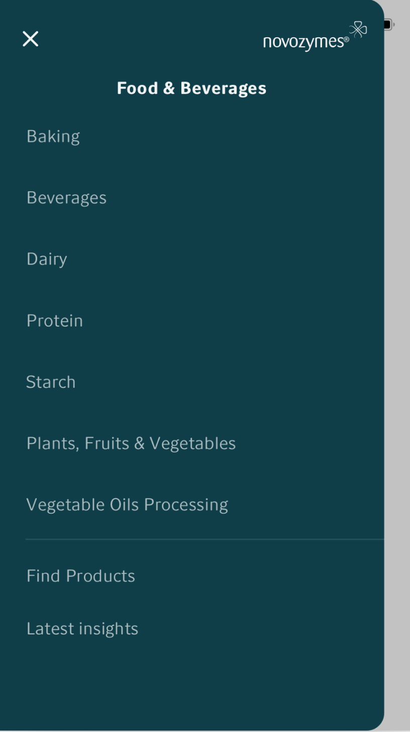 logo example on header